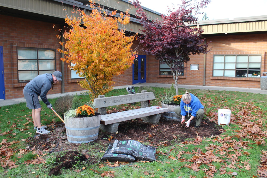memorial bench cleanup