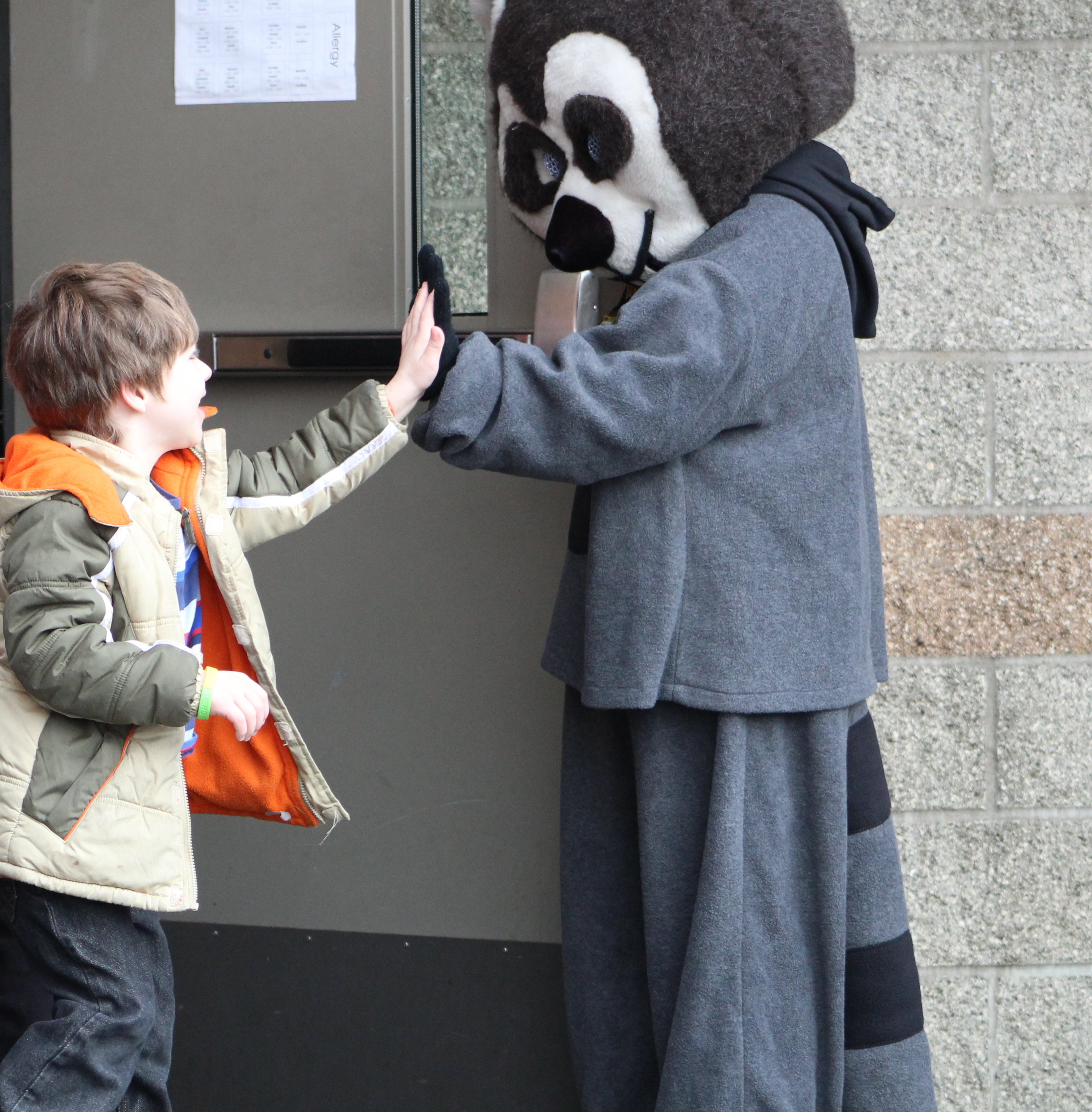 Rudy the Racoon and Student
