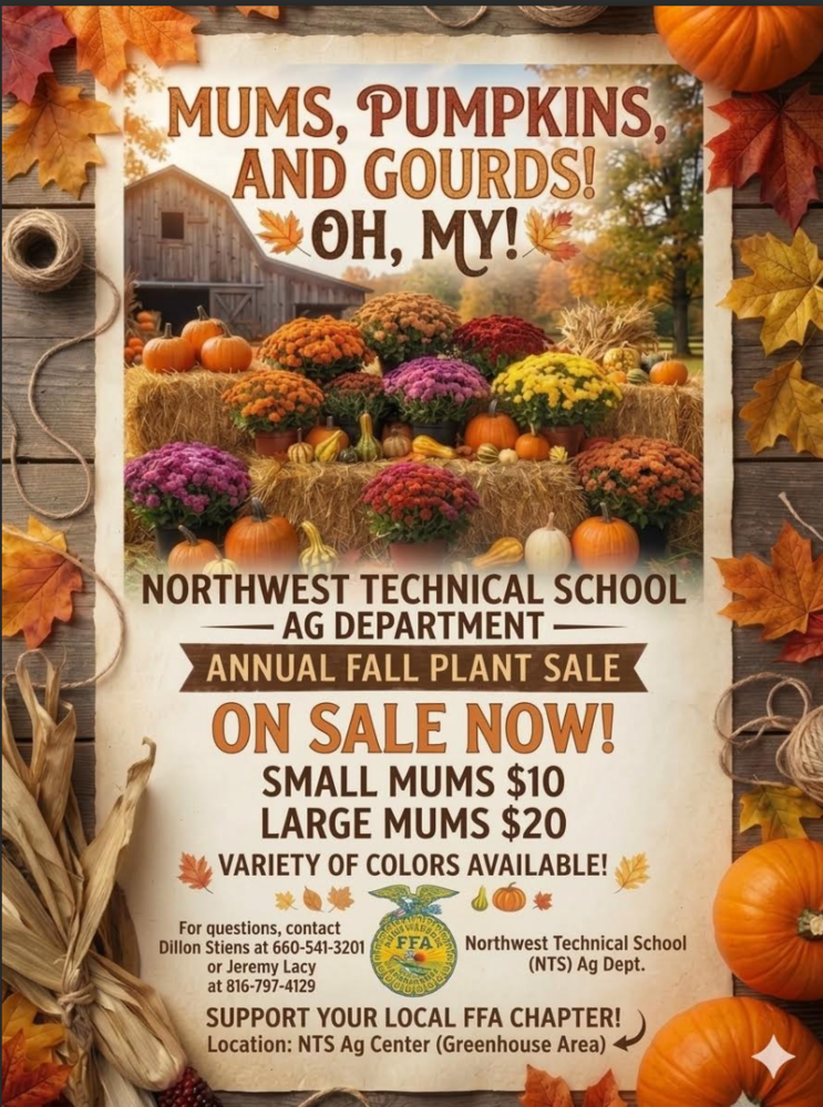 NTS FFA Mum Flyer