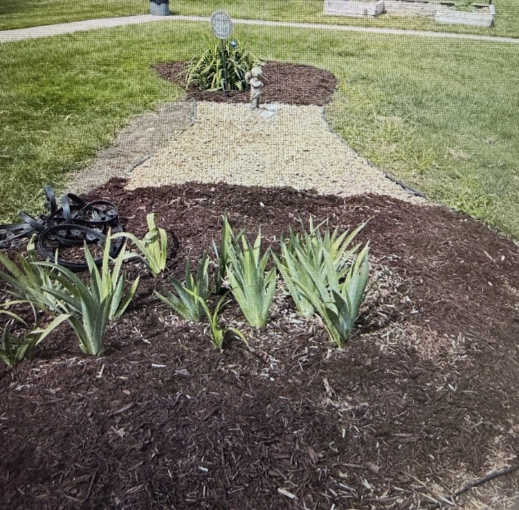 These ladies pulled weeds, restructured, laid tarps, spread rock, mulched and so much more.  