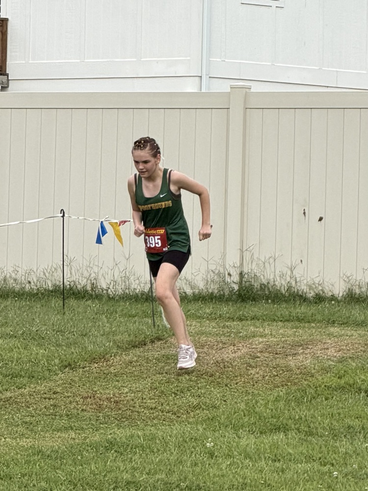 XC