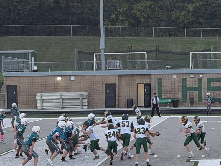 ms fb