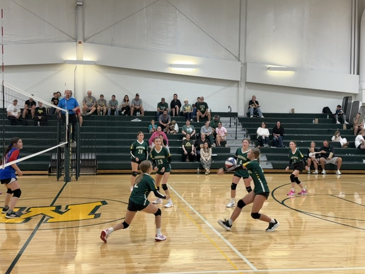 7 vb