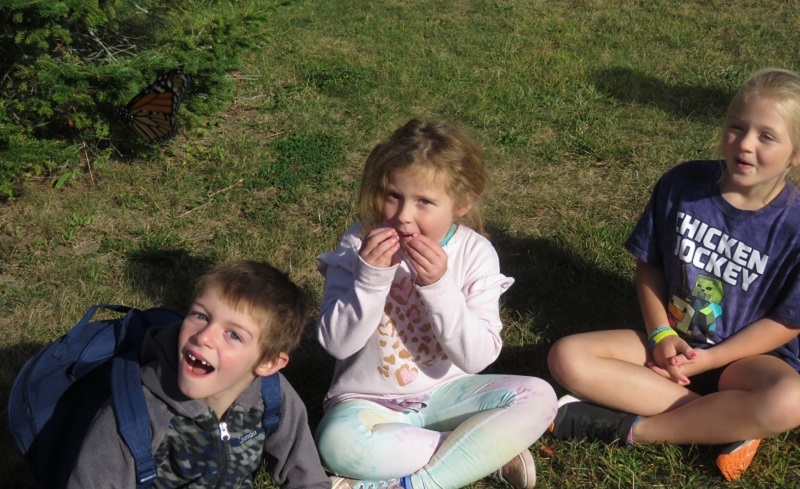 Butterfly Release Picture