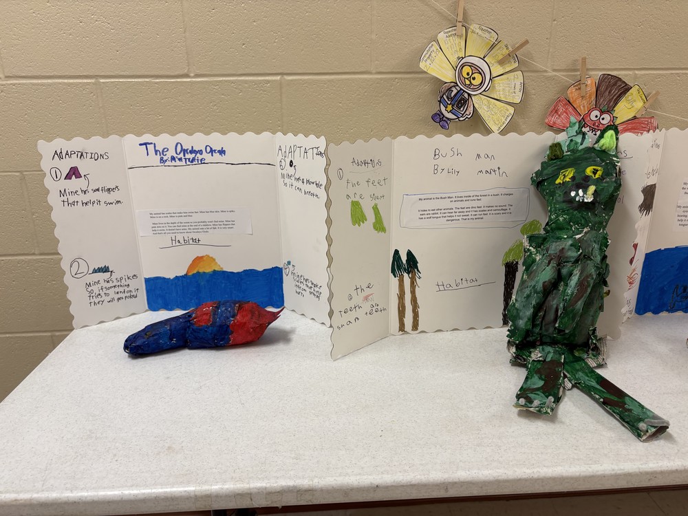 Photo of Animal Creatures 3rd Grade Project