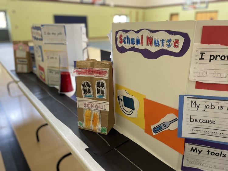 picture of posters at the showcase of learning