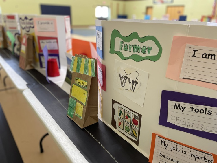 pictures of posters from showcase of learning