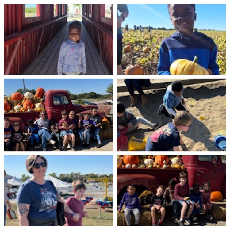 pumpkin picking