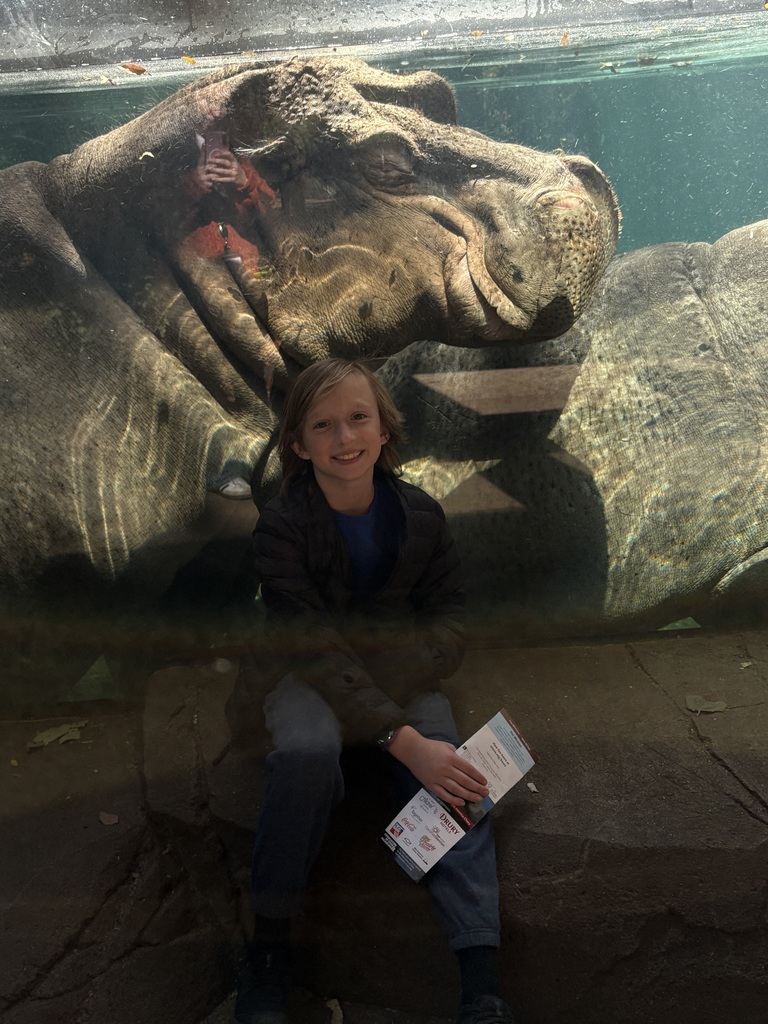 A kiddo in front of a hippo 