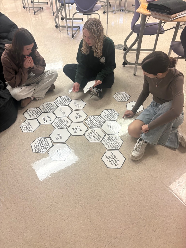 Students are using hexagons that have printed quotes and character names from the novel unit.  They are sitting on the floor and rearranging them against another to identify the proper connections.      