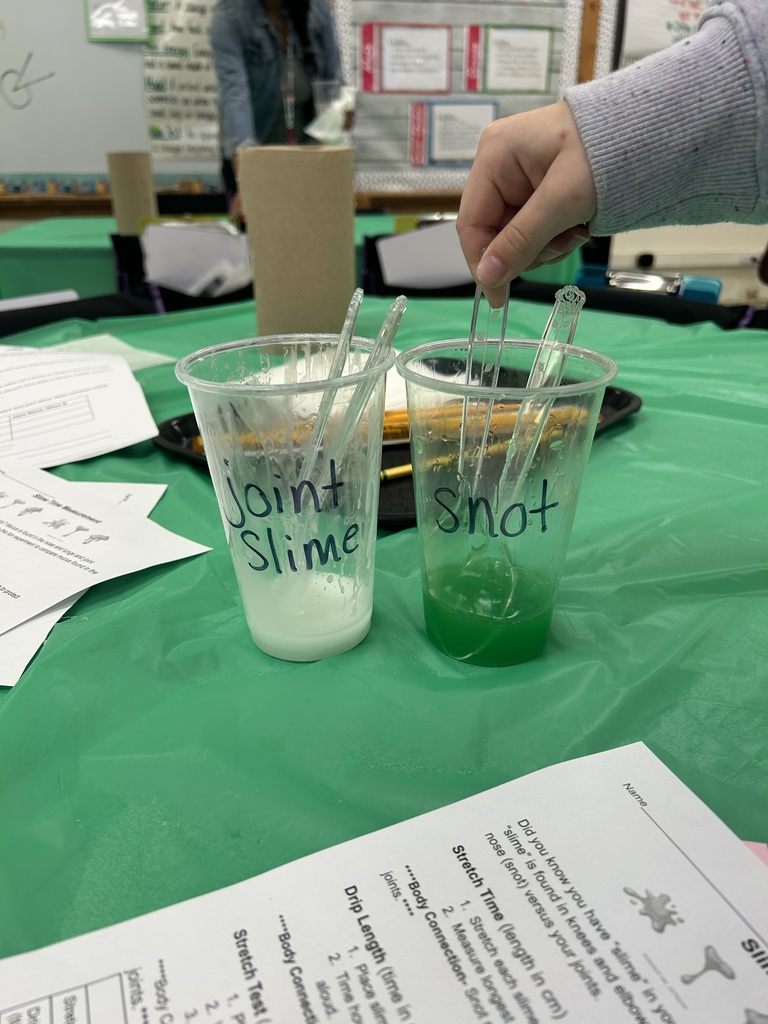 MES families participated in STEM night