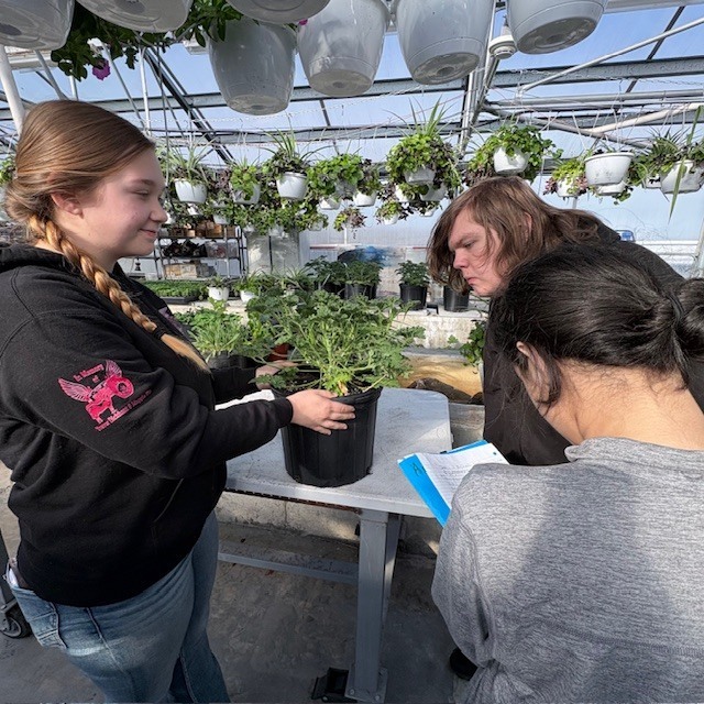 Students observing in a greenhouse