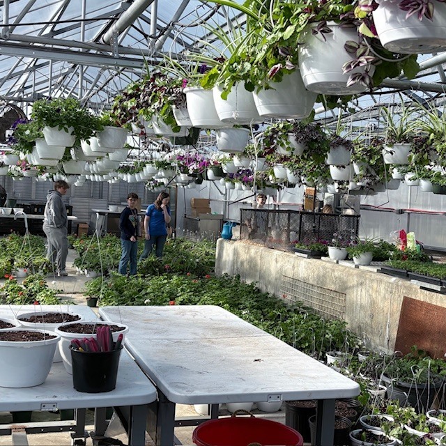 Students observing in a greenhouse