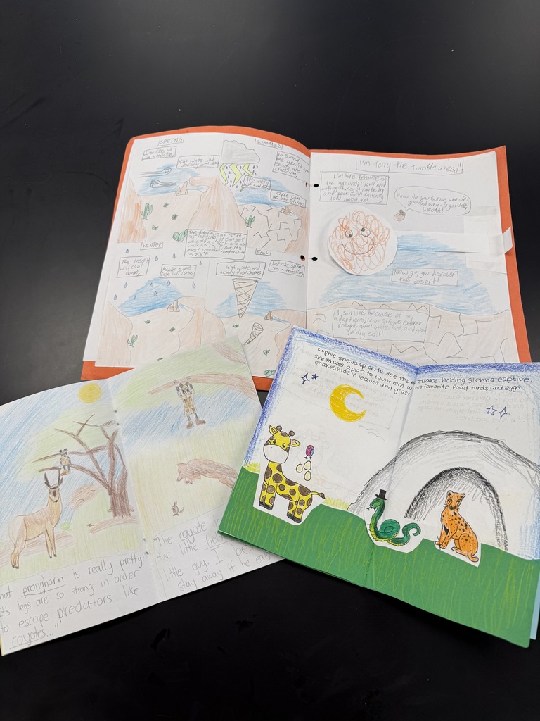 Three student-created books.
