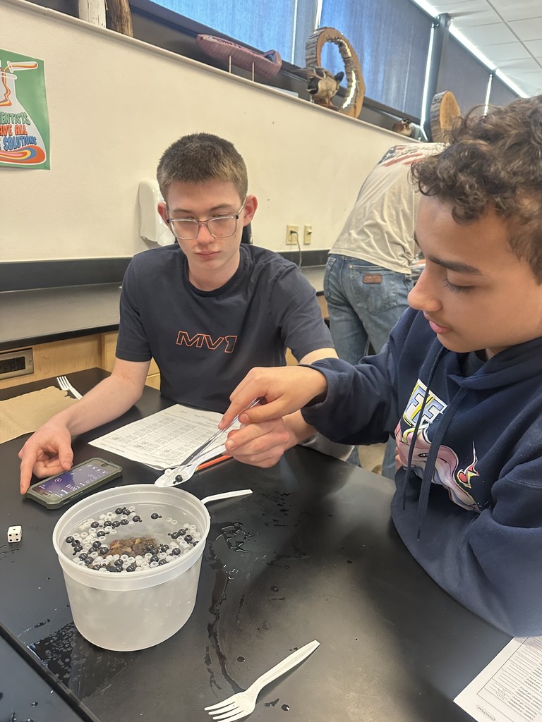 Students diving for beads using spoons.