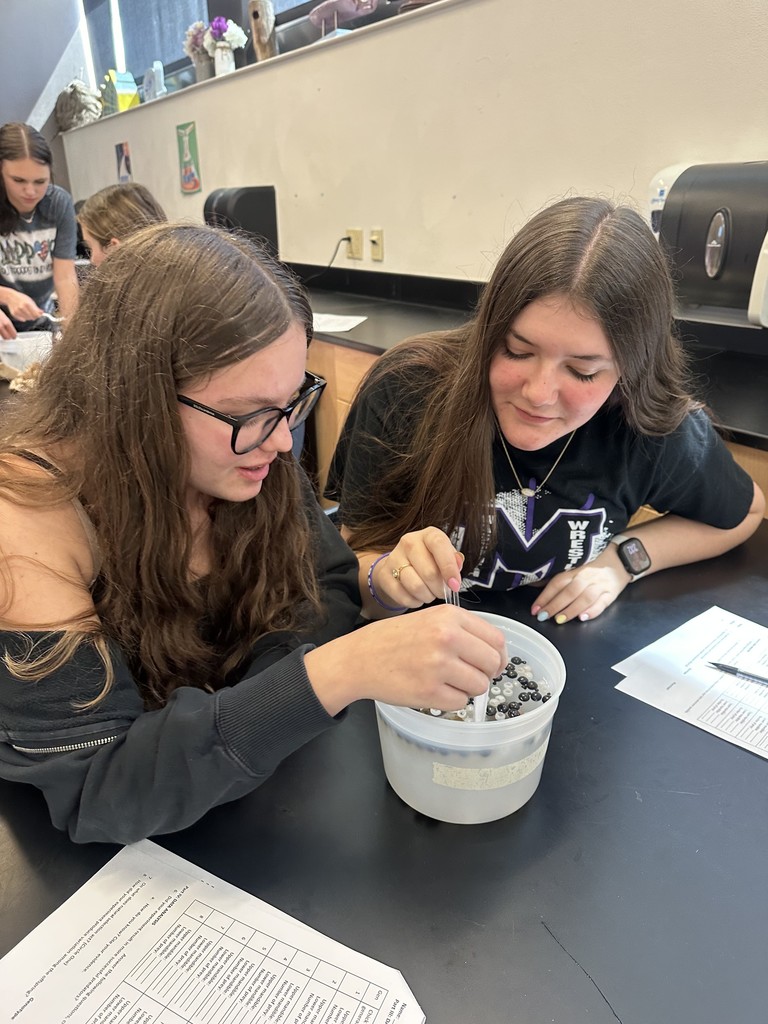 Students diving for beads using spoons.