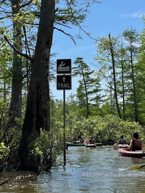 Kayak Trail