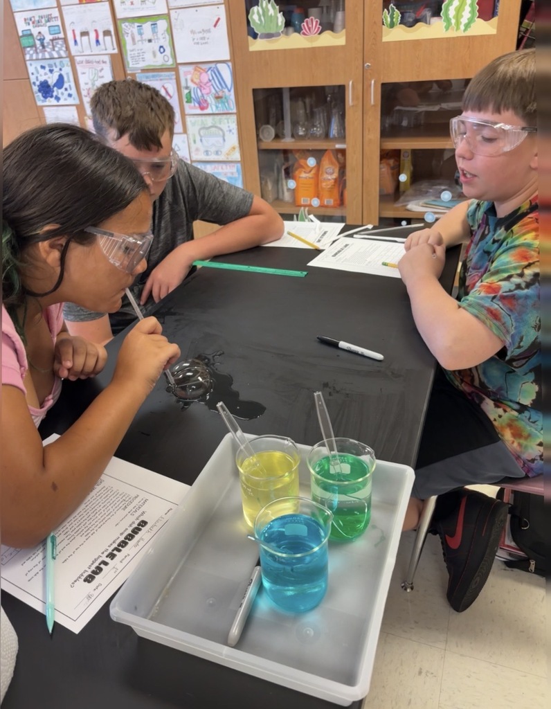 testing different soaps