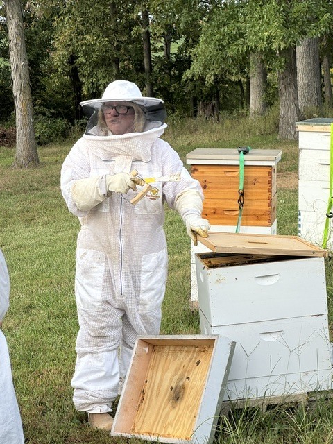 Learning how to properly open an active hive