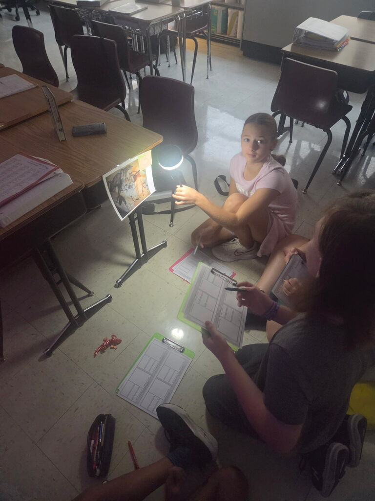 Students examine cave art and theorize why it was created