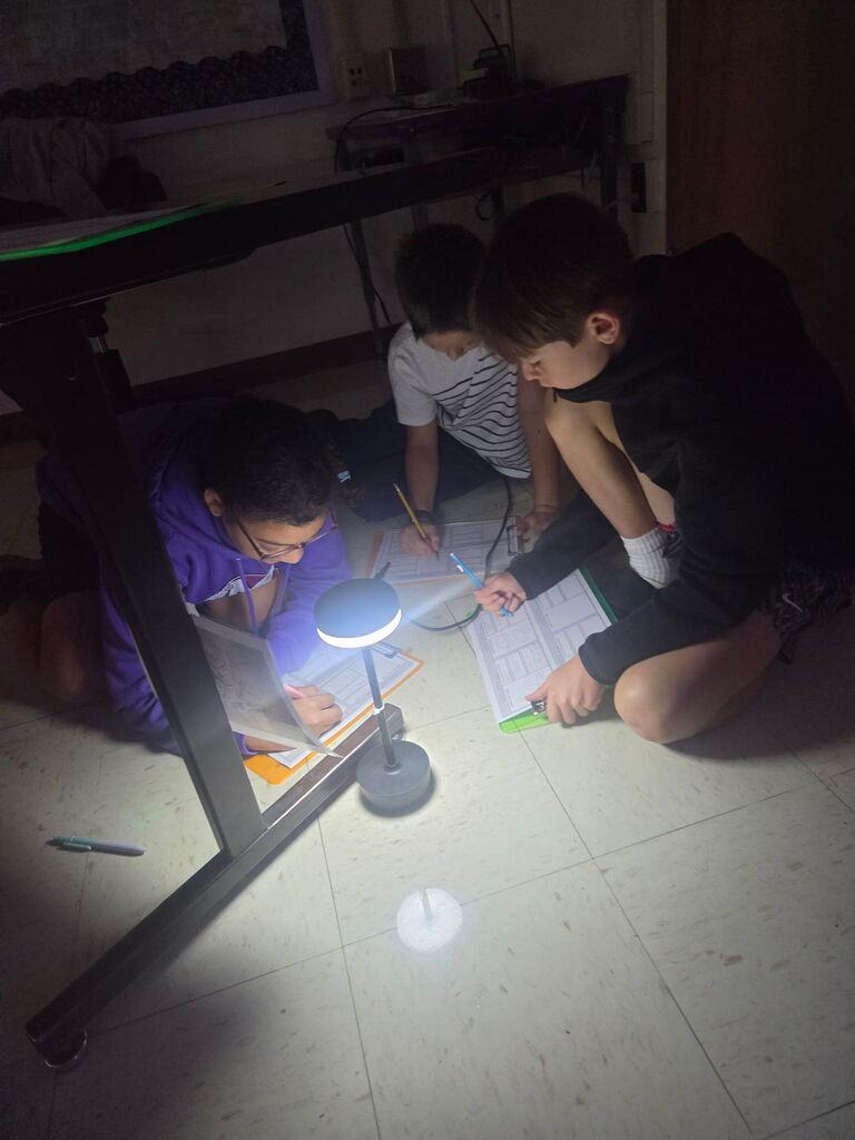 Students examine cave art and theorize why it was created