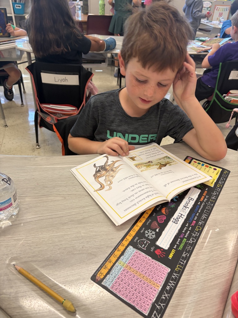 Reading