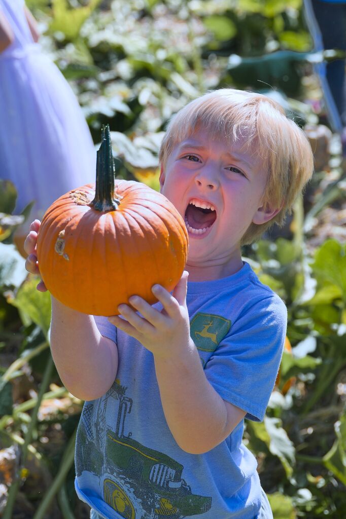 A boy is really excited about picking out a pumpkin.