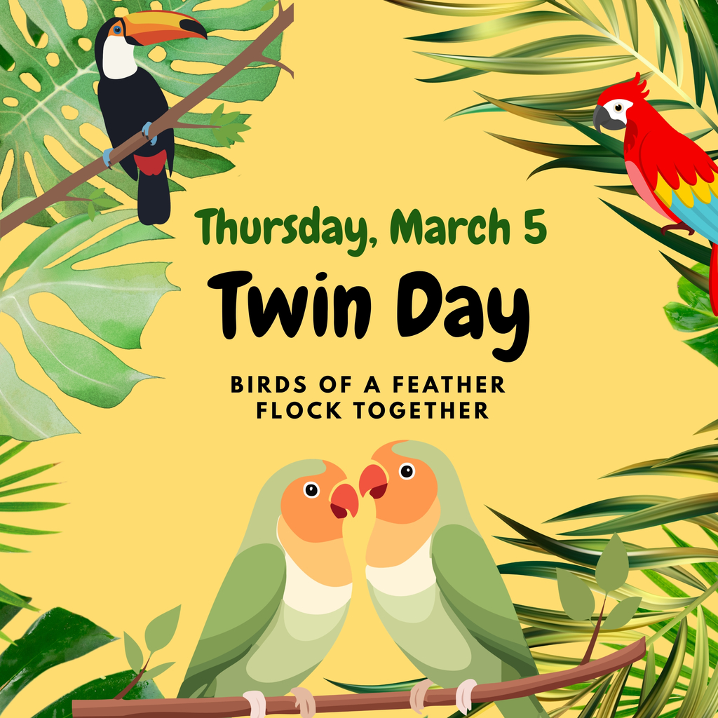 twin day