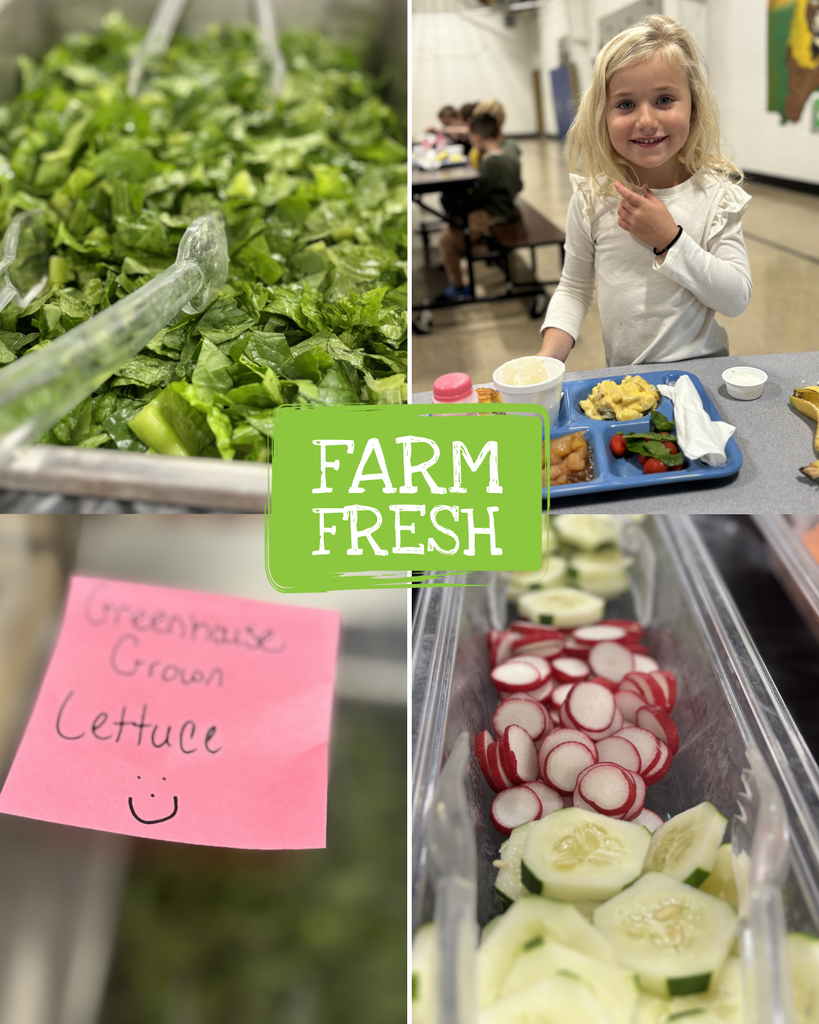 Pictures of Greenhouse Grown Lettuce and Local Farm Fresh Food