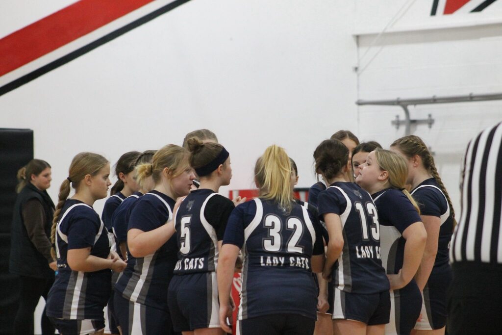 volleyball