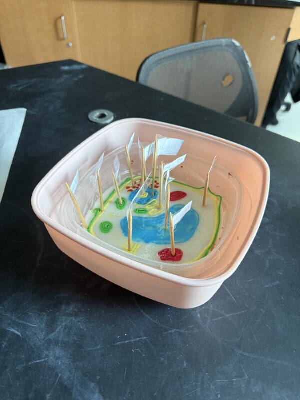 cell