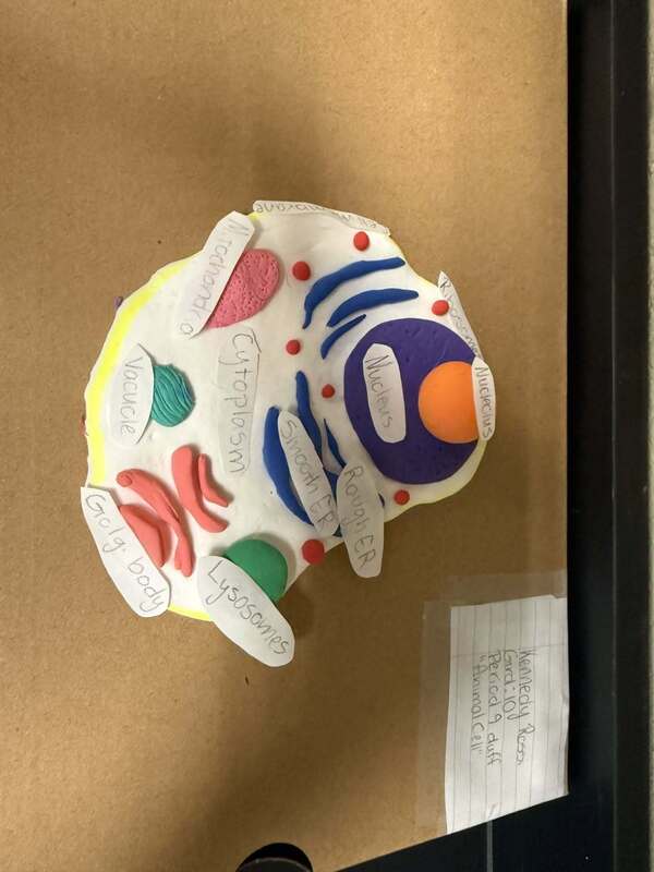 cell
