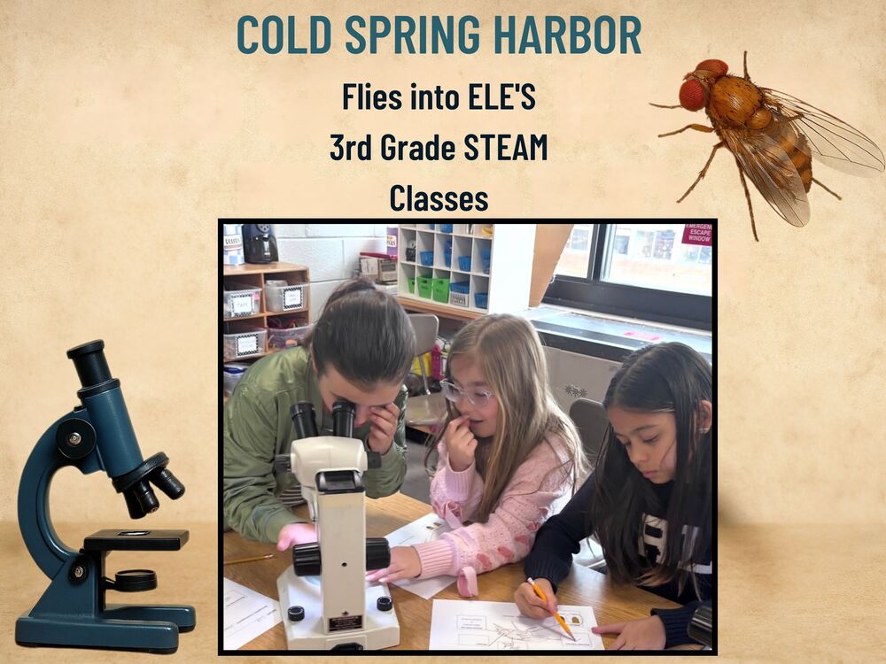 Cold Spring Harbor Flies into ELE's 3rd Grade STEAM Classes
