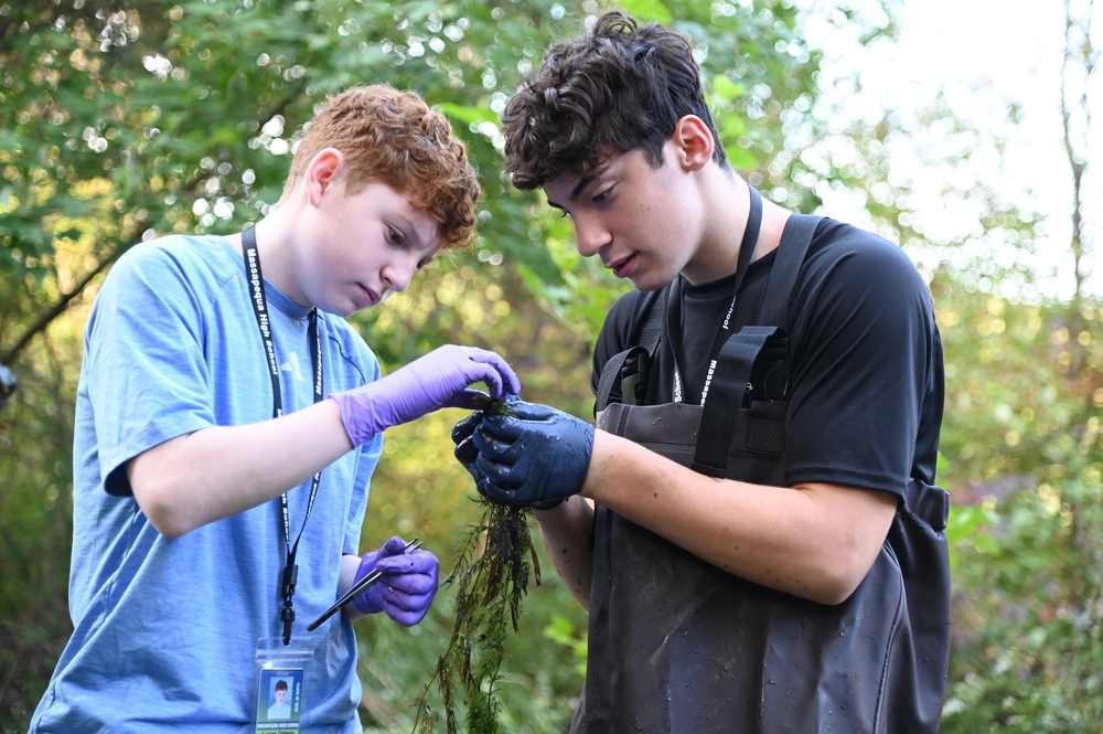 MHS/AHS-Science Stream Study 