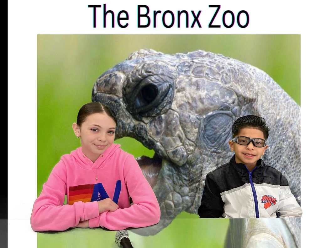  East Lake News from the Nest  January 26 - January 30, 2026