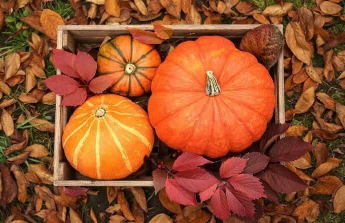 PTA Harvest Fair 2026
