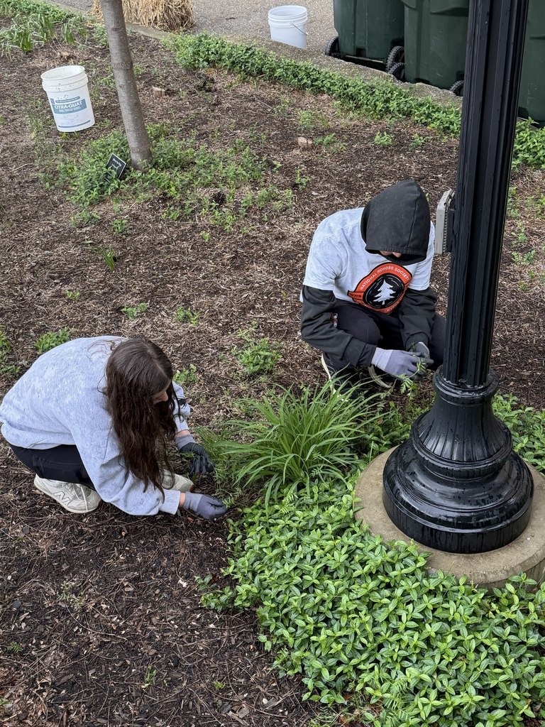 students