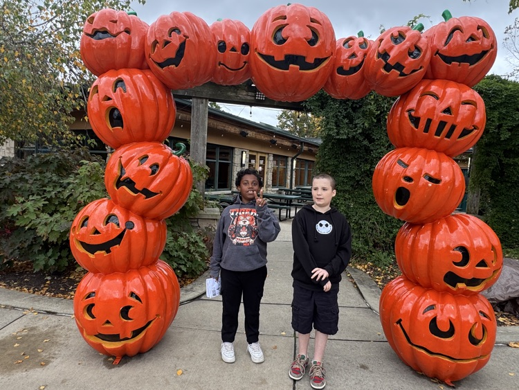 students standing at the zoo