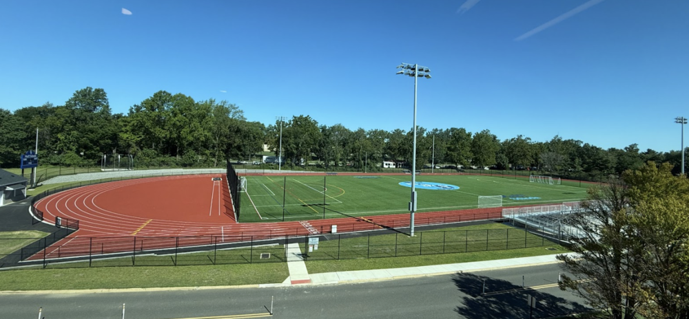 turf