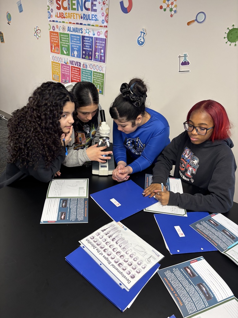 Our 7th graders explored science up close through the BioEyes Program! Students used microscopes to observe zebrafish growth, watched larvae hatch, and learned how genetics influence traits. We are thankful to the BioEyes team from the University of Pennsylvania for this hands-on learning experience at MaST Schools.