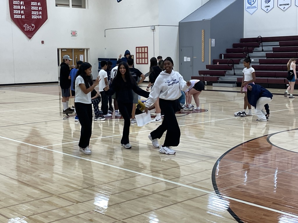 Physics Lab 2 - Skipping