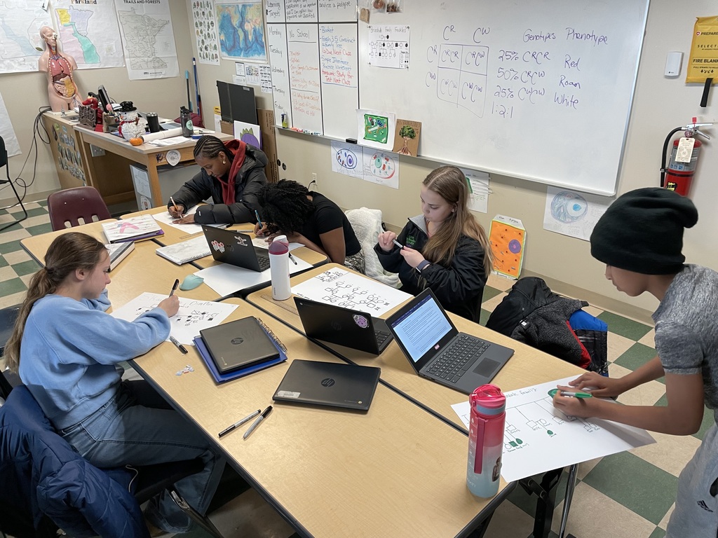 Group of 7th grade students creating pedigree charts.