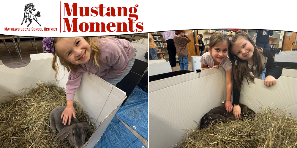 Students interact with a group of bunnies, including baby rabbits, during a classroom visit connected to a reading activity.