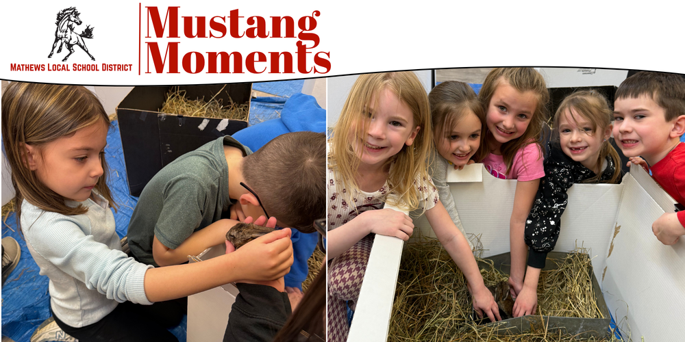 Mathews Elementary students help name a group of baby bunnies