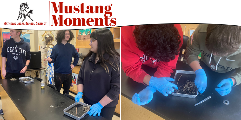 Students in a high school biology class examine an earthworm during a hands-on dissection activity.