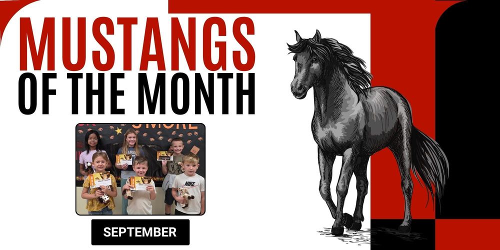 mustangs of the month