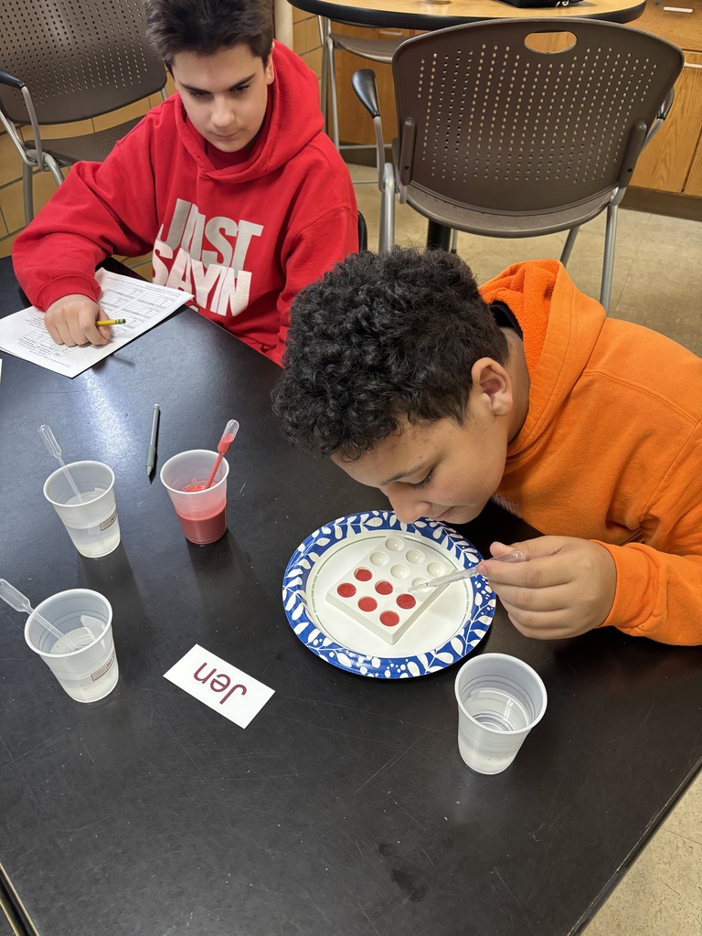 Students analyze simulated blood samples