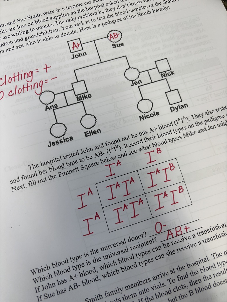 Students analyze simulated blood samples