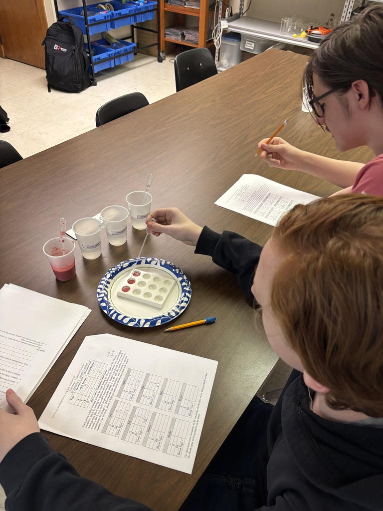 Students analyze simulated blood samples