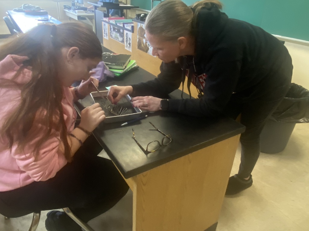 Students in a sophomore biology class at Mathews High School conduct an earthworm dissection, examining anatomy up close as part of a hands-on life sciences lesson.